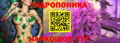 спиды Волжск