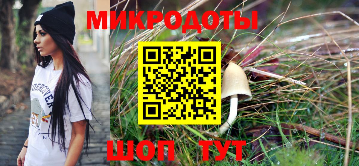Псилоцибиновые грибы прущие грибы Канск