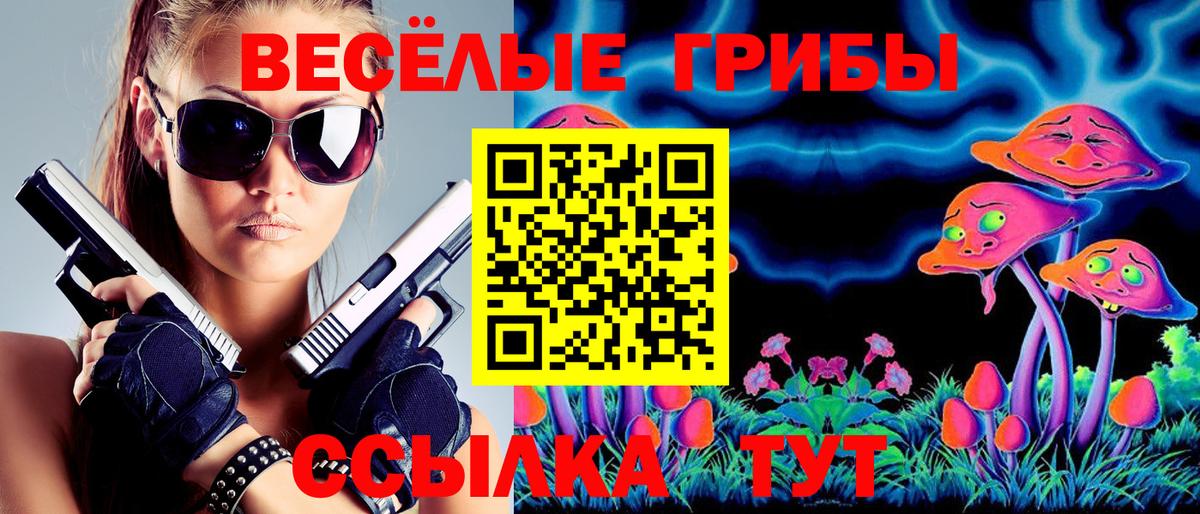 наркота  Псилоцибиновые грибы прущие грибы  Вход с VPN  Канск 